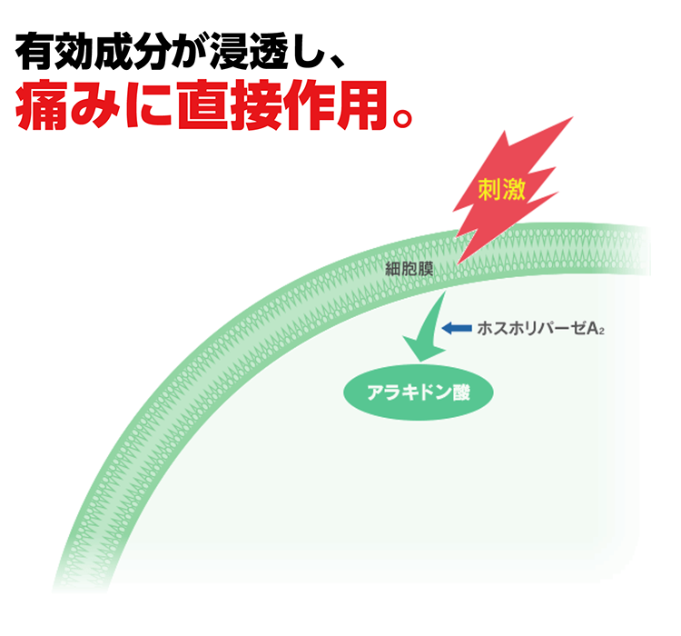 マヤズム治療のための大事典 ホメオパシー Amazon.co.jp: マヤズム治療のための大事典 (ホメオパシー海外選書