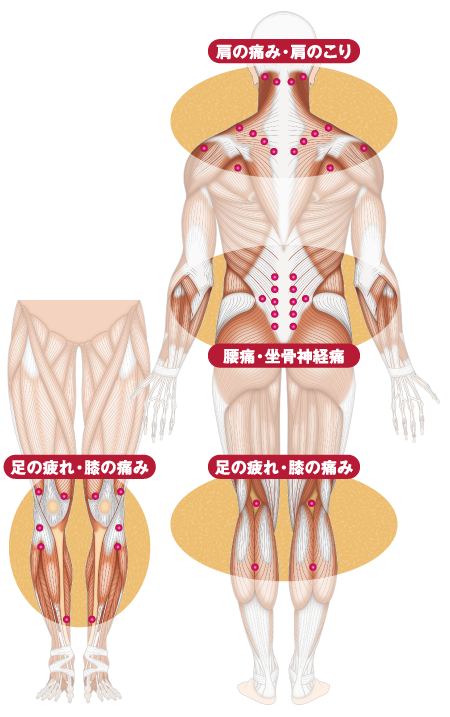 効果 スポール バン スポールバンの効果は実感できるものなのか？